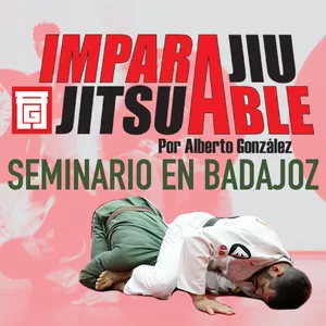 seminario jiu jitsu online